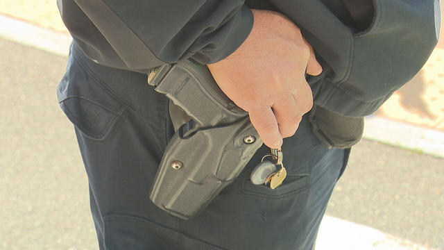 gun.jpg 