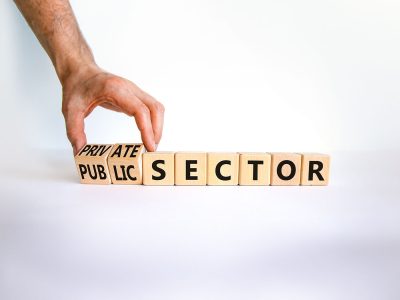 Hand Holding Blocks With Words On That Say Private/public Sector.
